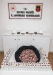 Baskında 25 bin 500 sentetik hap ele geçirildi