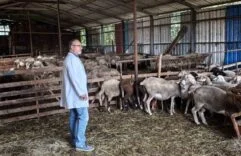 Süt kalitesi ve hayvan sağlığı güvence altında
