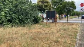 Tartıştığı amcasını palayla öldürdü