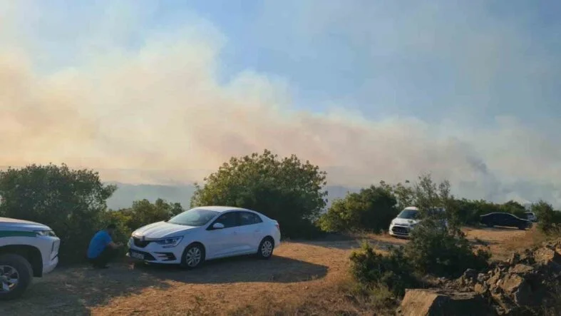 Kocaeli Valiliğinden Gebze’deki orman yangınına ilişkin açıklama
