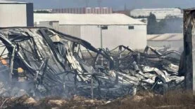 Kocaeli’de kimya fabrikasında yangın: 2 işçi yaralandı, 2 at telef oldu