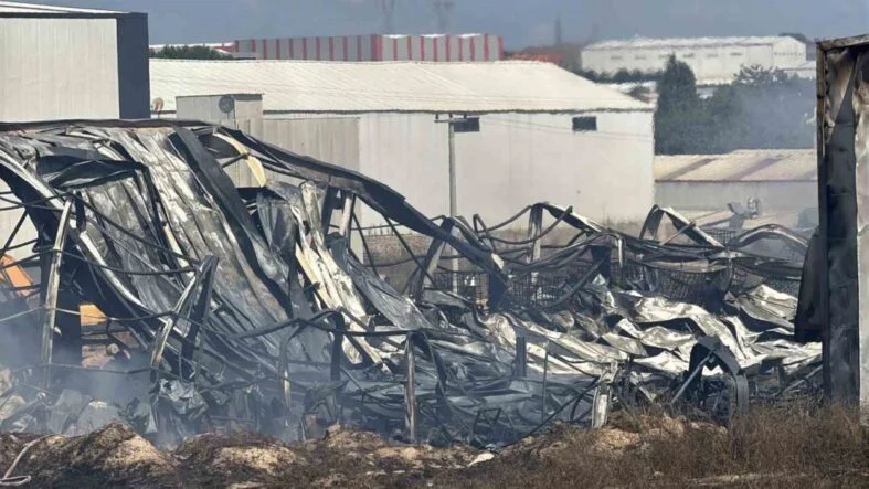 Kocaeli’de kimya fabrikasında yangın: 2 işçi yaralandı, 2 at telef oldu