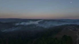 Kocaeli’deki orman yangını kontrol altına alındı