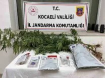 Kocaeli’de 1 kilo esrar ele geçirildi