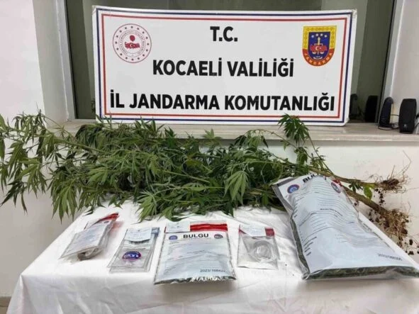Kocaeli’de 1 kilo esrar ele geçirildi